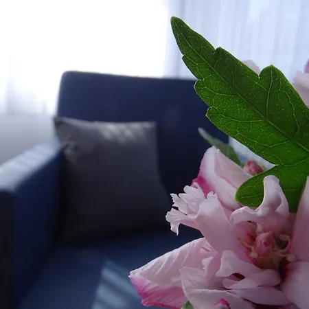 Bed & Breakfast Gaestehaus Schattemorellsche