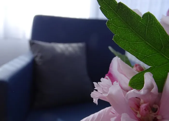 住宿加早餐酒店 Gaestehaus Schattemorellsche