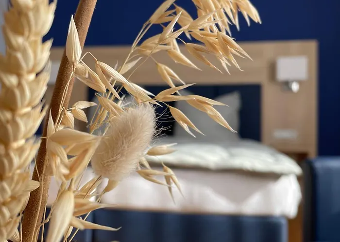 Gaestehaus Schattemorellsche Fuerfeld